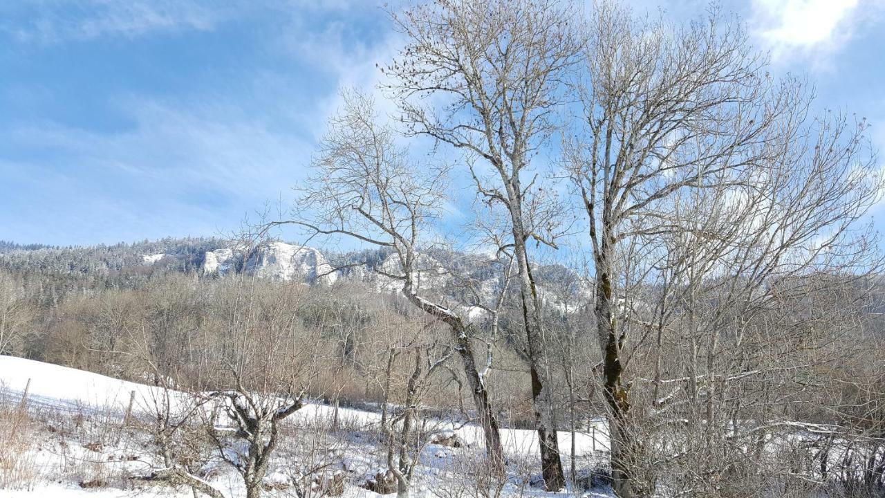 Maison d'hôtes Agathe et Sophie Lans-en-Vercors Exterior foto